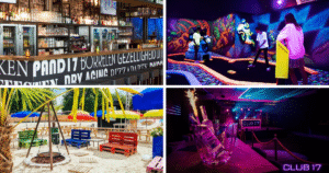 Pand17 collage